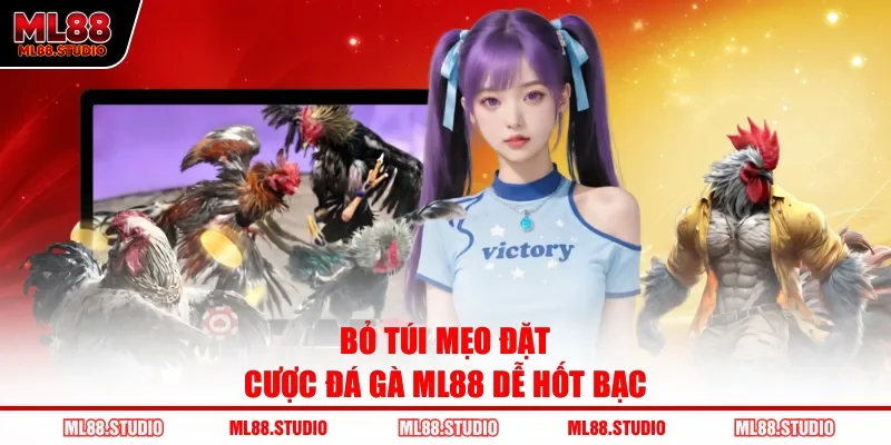 Bỏ túi mẹo đặt cược đá gà ML88 dễ hốt bạc