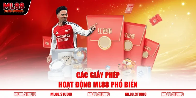 Các giấy phép hoạt động ML88 phổ biến