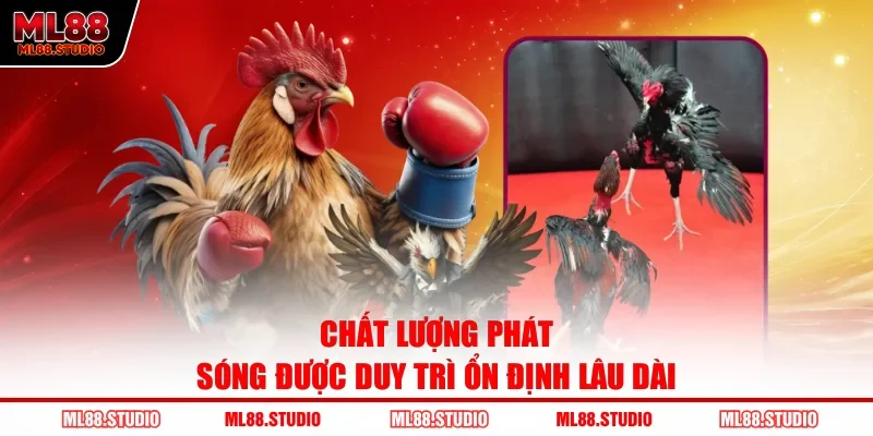 Chất lượng phát sóng được duy trì ổn định lâu dài