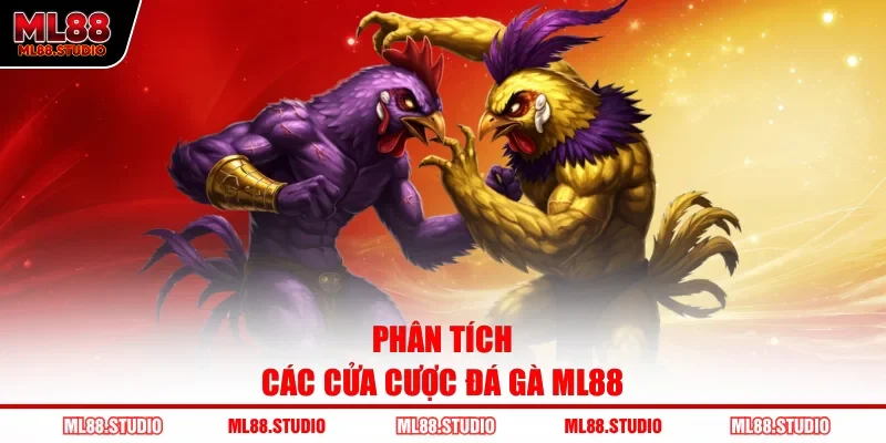 Phân tích các cửa cược đá gà ML88