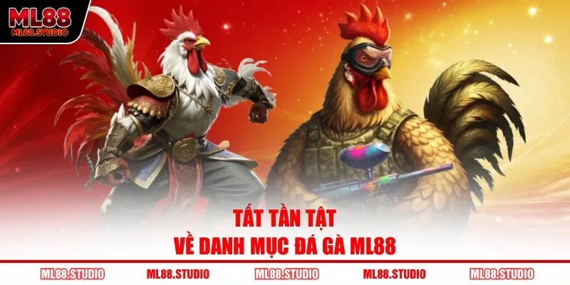 Tất tần tật về danh mục đá gà ML88