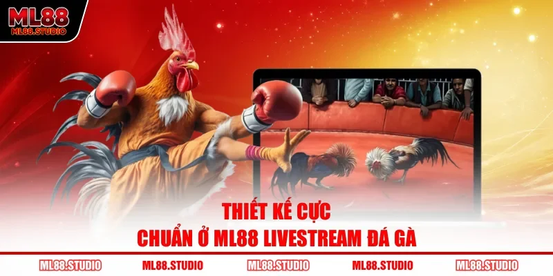 Thiết kế cực chuẩn ở ML88 livestream đá gà