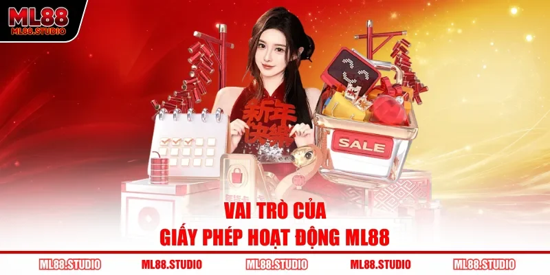 Vai trò của giấy phép hoạt động ML88
